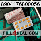 8904176800056 new13